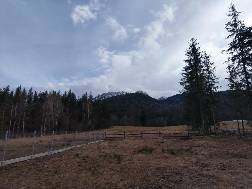 Apartamento Apartamencik Z Widokiem Na Giewont Zakopane Exterior foto